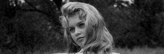 PiliR98's profile banner image