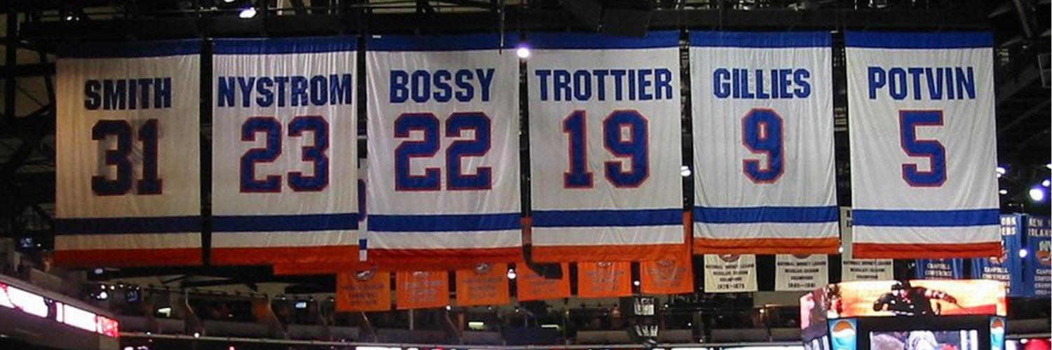 LI Sports Fan banner