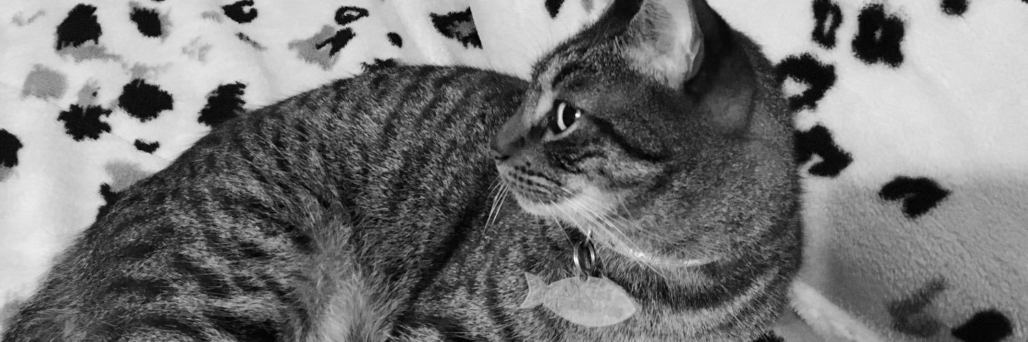 giulicarugati's profile banner image