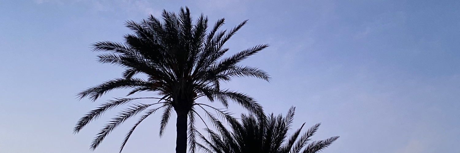 martasuarez913's profile banner image