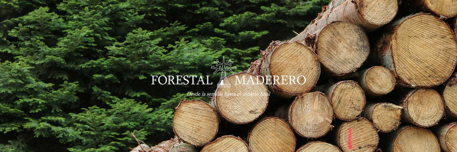 dirforestal's profile banner image