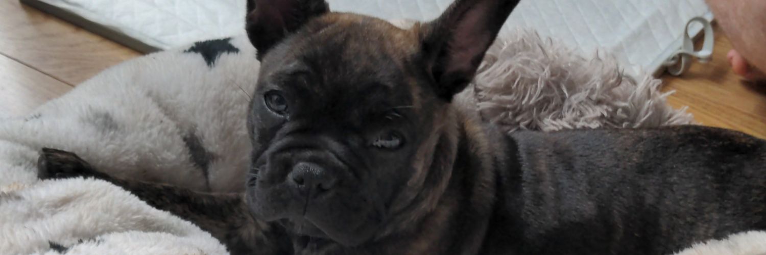 BarryMason5's profile banner image