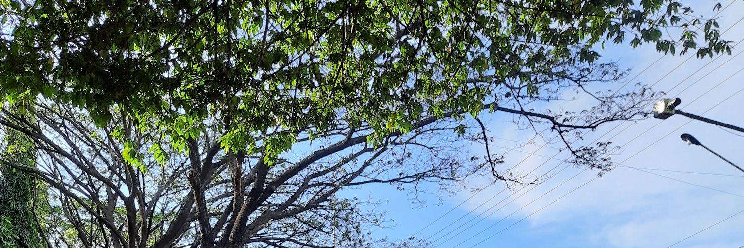 uukkeee's profile banner image