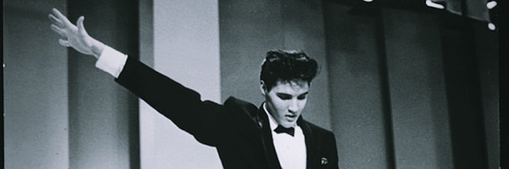 shadymanion's profile banner image