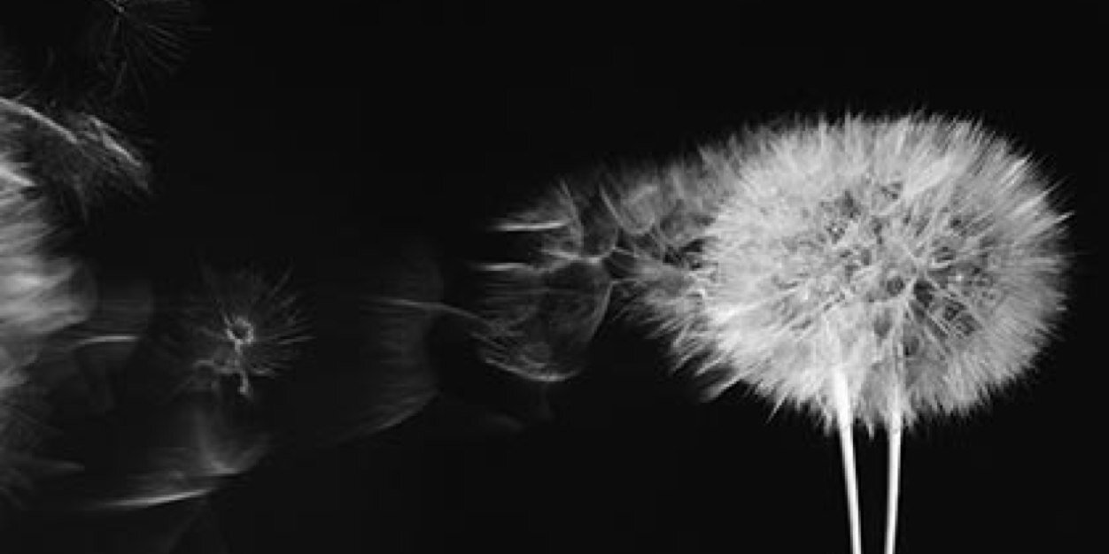 shaugen1109's profile banner image