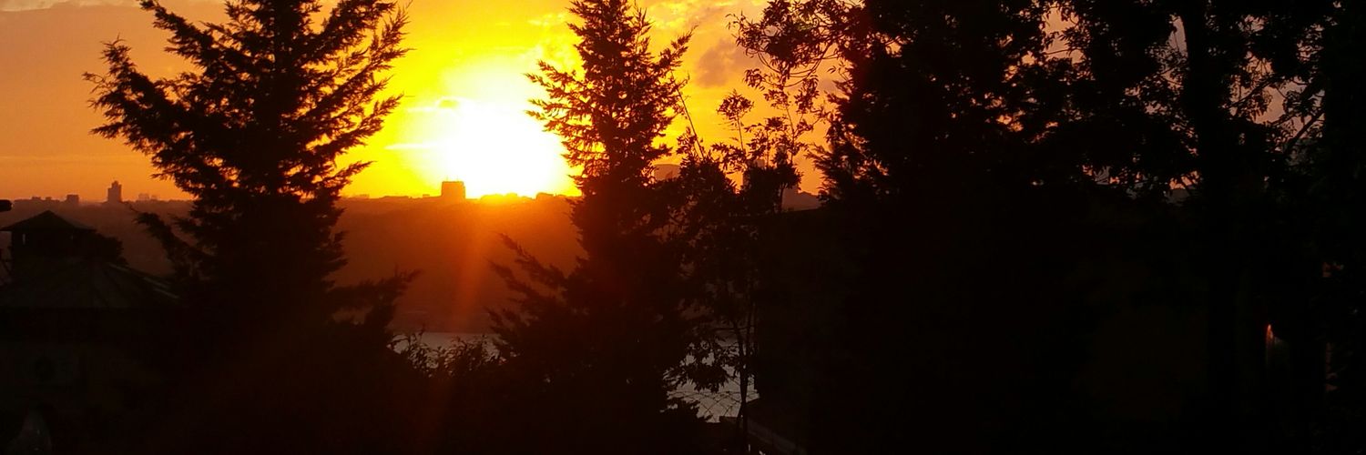 FTHKSE7's profile banner image