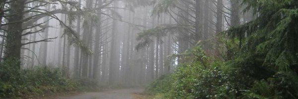 NWSPortland Profile Banner