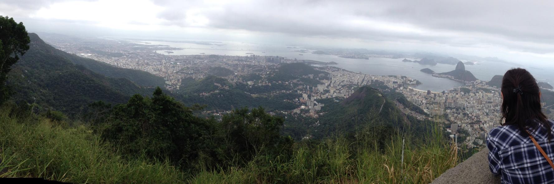 David M. Antonelli banner