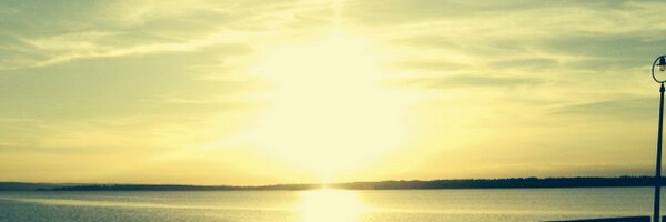 nicholafryday Profile Banner