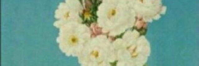 Ali_Alwalede's profile banner image