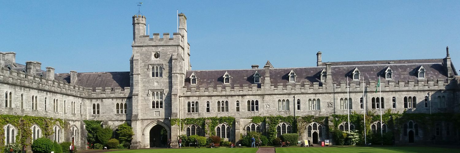 Prof. Joe McVeigh's banner