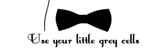 Marija Firstner banner