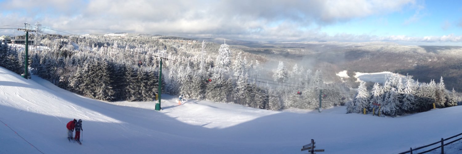 Heather Rhodes banner