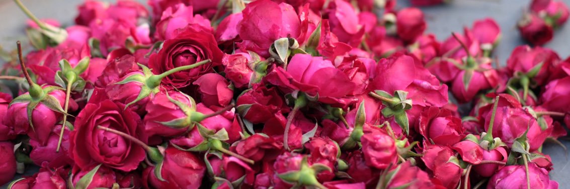 Rana_Almshari's profile banner image