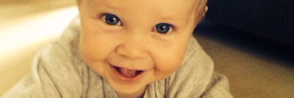 David Considine banner