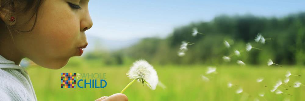 Michigan ASCD banner