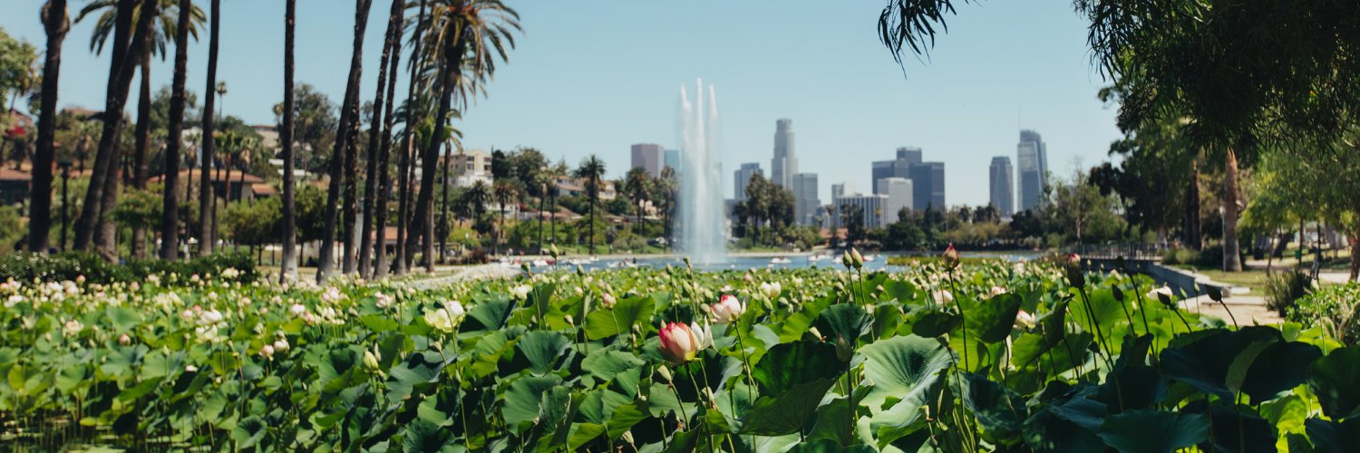 Time Out Los Angeles banner