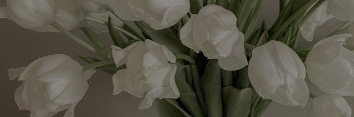 xtaelurmade's profile banner image