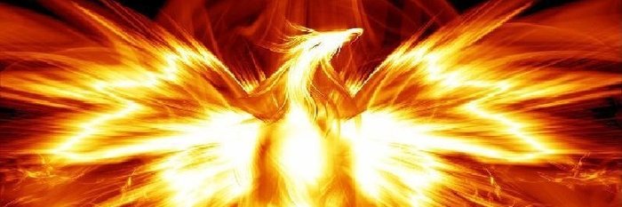 donnaphope's profile banner image