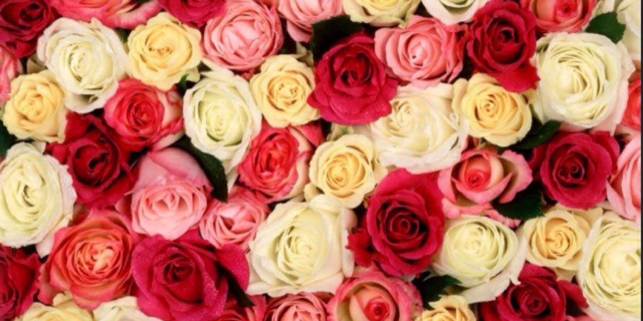 JoreyPerry's profile banner image
