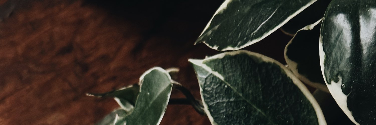 wes banner
