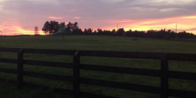 tracy_ann74's profile banner image