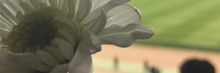 abdallhkhalid1's profile banner image
