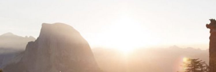 Aldymanda9's profile banner image