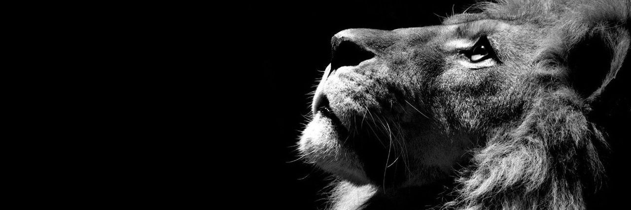 JamesEkeke's profile banner image