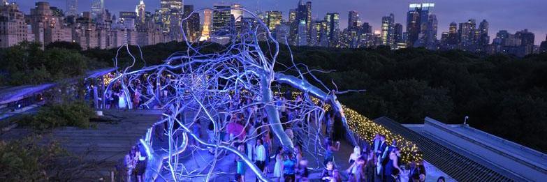 Stefanie Hane banner