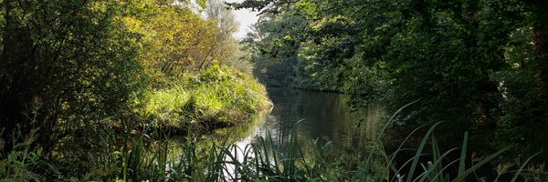 crittercurator Profile Banner