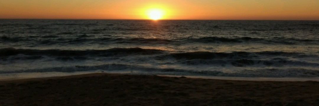 Dpascualetti's profile banner image