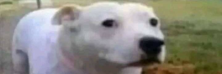 ______paaam's profile banner image