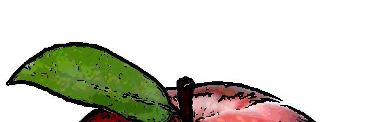 jam_qr's profile banner image