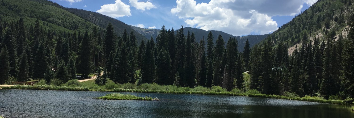 PrisBearden's profile banner image