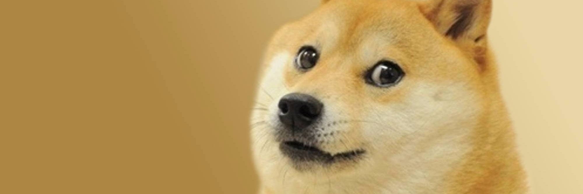 crypto_scrooge's profile banner image