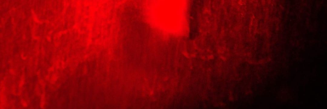 Laura Sofía Mejía banner