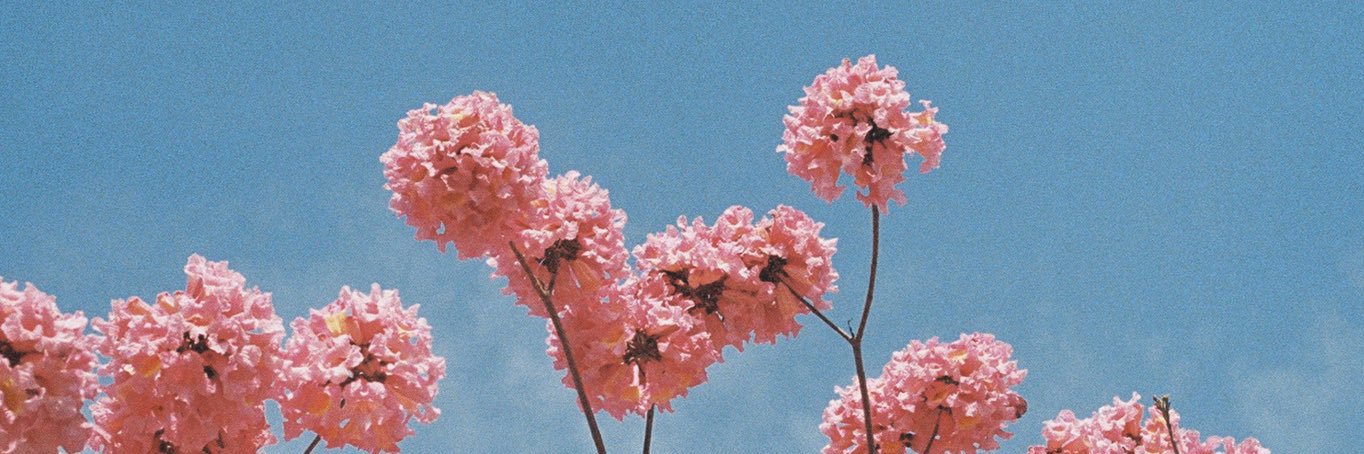 _mmmhhmmm's profile banner image