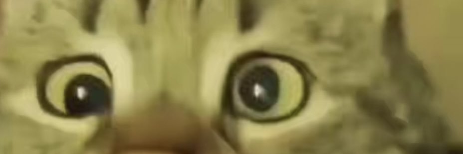 trudat999's profile banner image