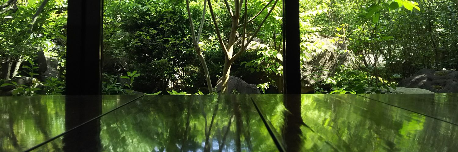 mikaaya's profile banner image