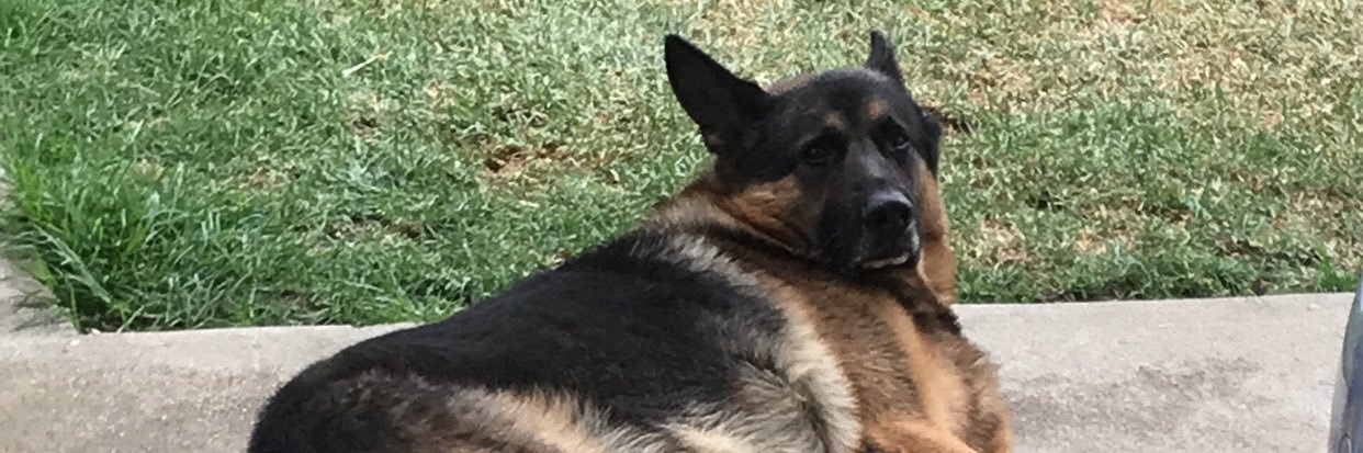 bigborispw's profile banner image