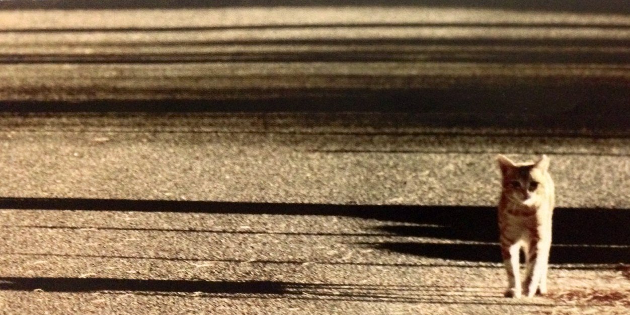 Onurmonur's profile banner image