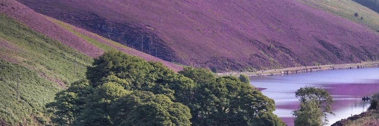 debearthangel's profile banner image