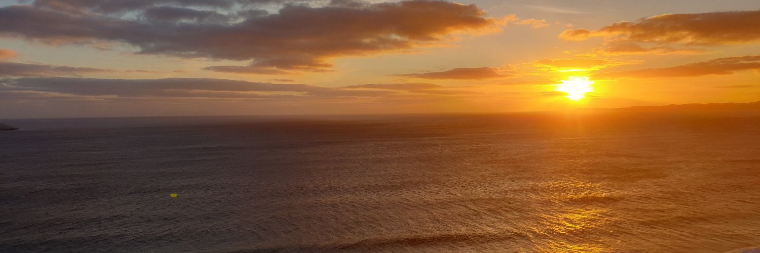neenaswitwit's profile banner image