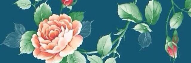 ElsiePlum's profile banner image