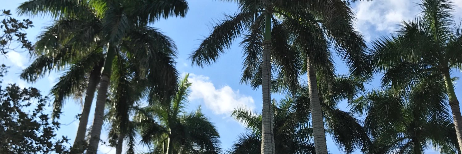 aniedeee's profile banner image