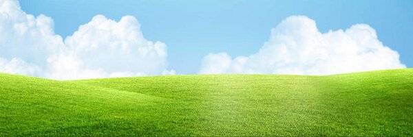 RoscommonFarm Profile Banner