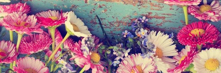 MarialeBG's profile banner image