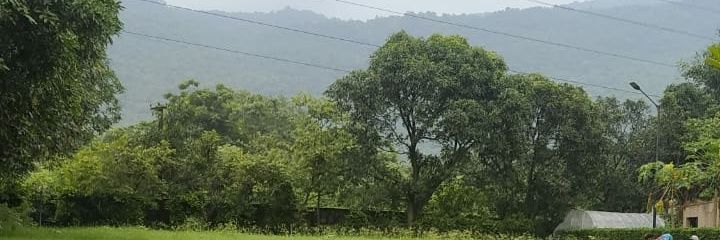 sanskaritweets's profile banner image