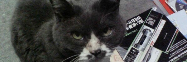 hokorin Profile Banner